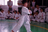 siroj (118)_samu.gif